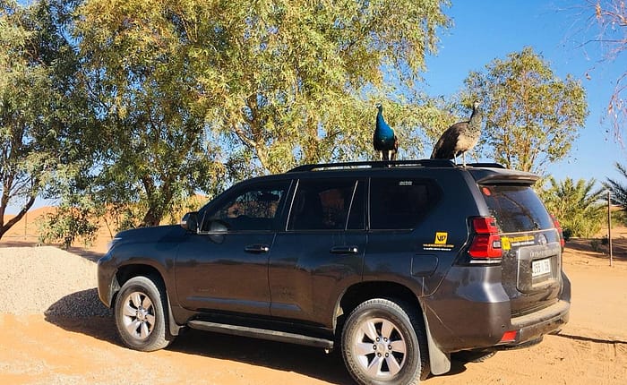 Agência de Viagens em Marrocos