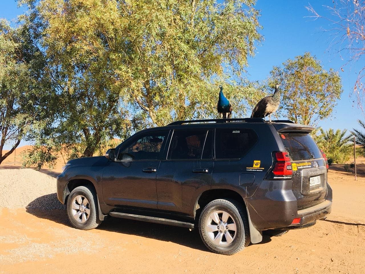 Agência de Viagens em Marrocos